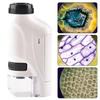 Mini Pocket Lab Handheld Microscope Kit Adjustable Zoom 60-120X Led Light Kids Optical Biological Science Tool Portable Stem Toy