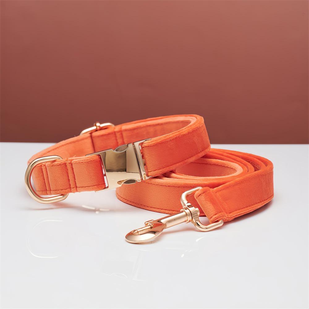 Ensemble collier et laisse pour chien en velours gravé avec boucle métallique réglable