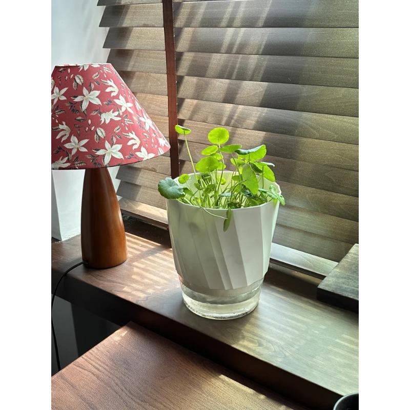Lazy Hydroponic Flower Pot Automatic Water-Absorbing Flowerpot Transparent Double Layer Plastic Self Watering Planter Office