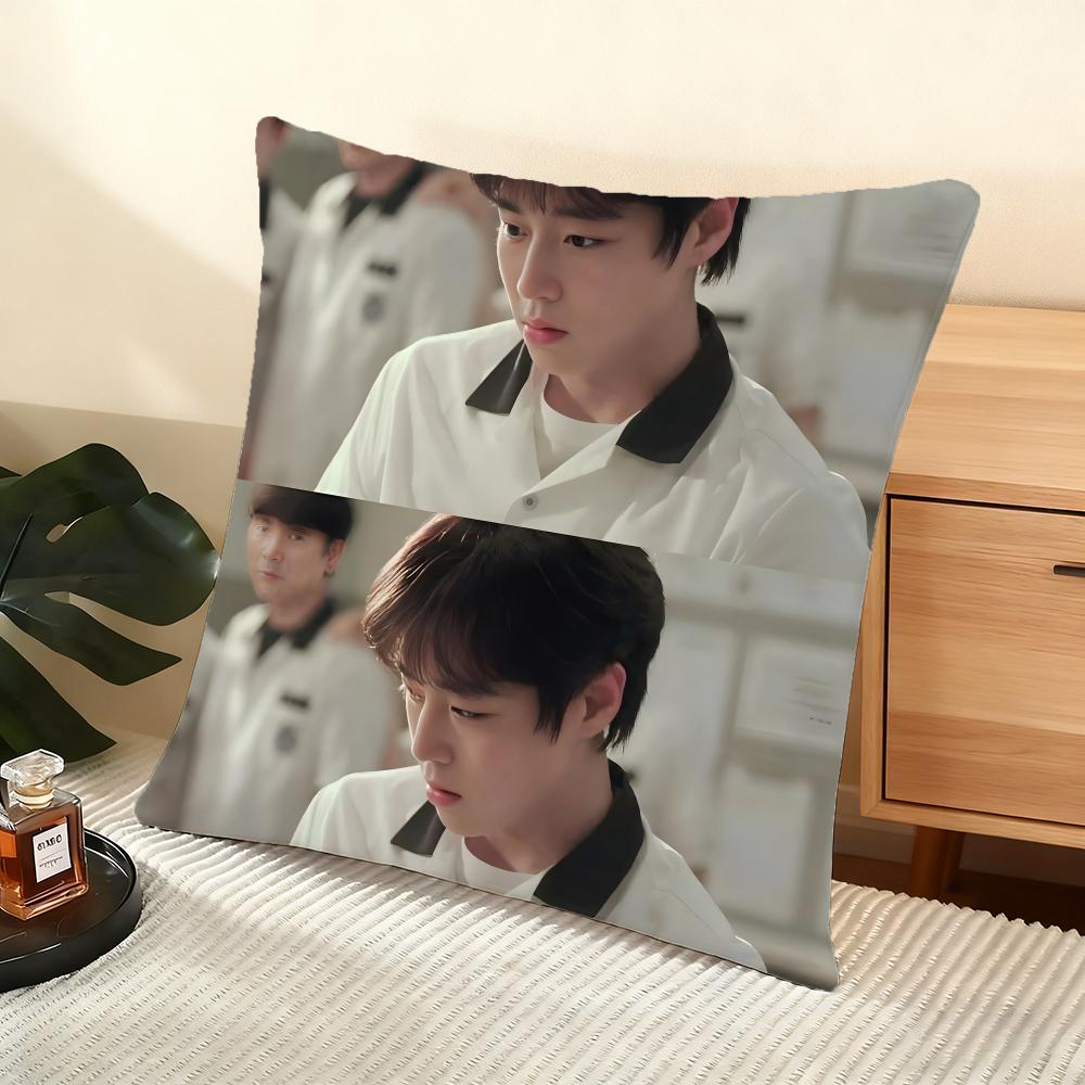 Cushion Cover Silky Short Plush Home Sofa Cushion Cover - Invisible Zipper Home Decoration WeakHero TV Series