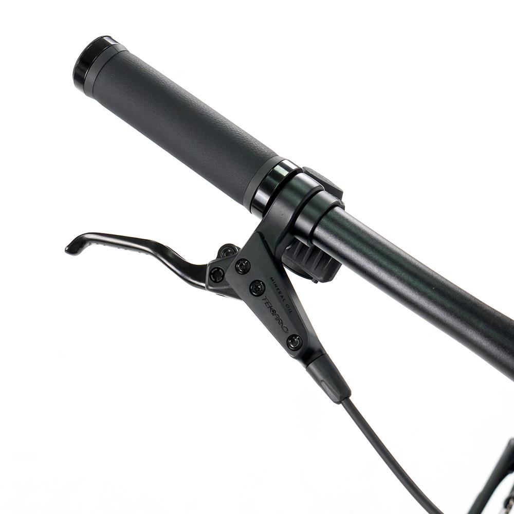 EM19 High-Performance Carbon Fiber Electric Mountain Bike | 48V250W Mid-Drive Motor, 75Nm Torque, 130-150KM Range, 12-Speed, Hydraulic Disc Brakes