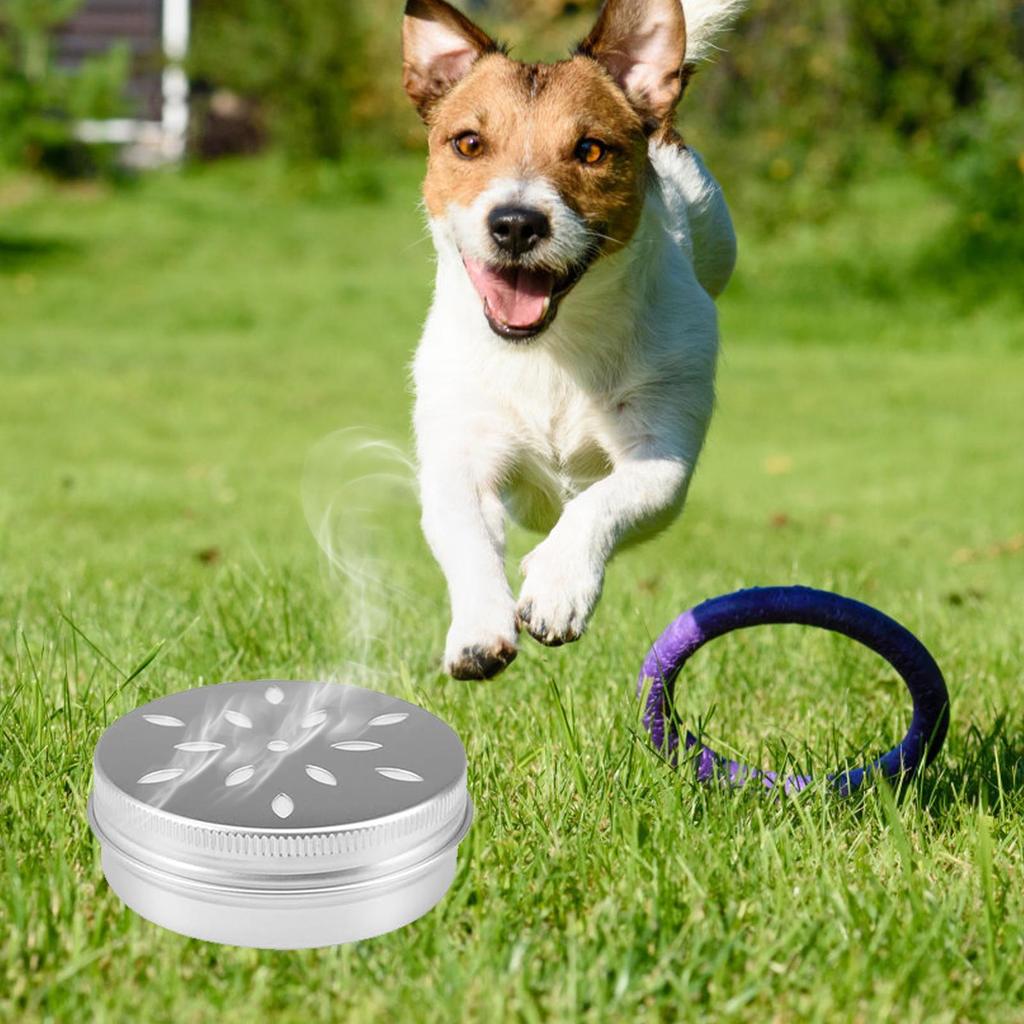 Dog Scent Training Kit 60ml Cans With Hollow Lids 10 Pieces Pet Odor Metal Training Box For Canine Doggy Puppy Medium Large Home