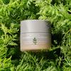 [MISHA]NEW Artemisia Soothing Cream 50ml