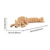 Movable Joints Squirrel Model Toys Cartoon 3D Articulated Squirrel Toys  Birthday Gift