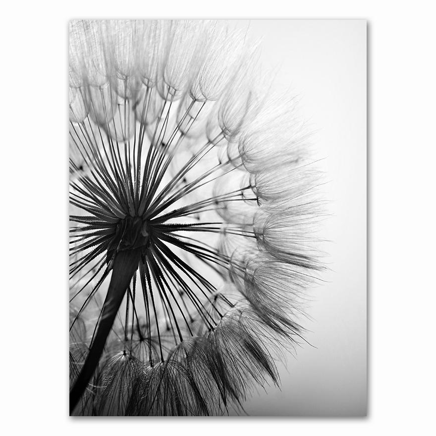 Fiore di tarassaco dipinto su tela quadri moderni in bianco e nero per la decorazione domestica soggiorno poster da parete astratto senza cornice