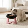 Anti-knock Neck Protection Bowl Large Diameter High Foot Bowl Pet Food Bowl For Pets Cats Dogs