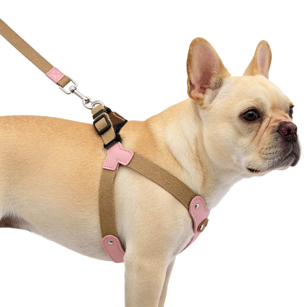 New Soft Leather Dog Vest Harness and Leash Set for Small Medium Dogs - Comfortable Escape-Proof Pet Harness Vest