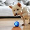 Automatic Moving Pet Ball Jumping with LED Light Boredom Stress Relief Smart Interactive Cat Dog Shaking Toy USB Rechargeable Electric Supplies