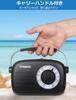 ZHIWHIS Portable Desktop Radio with FM DSP High 2000mAh Lithium Battery or Battery Large Ideal for Seniors and Disaster New for FM/AM/Wide Support,