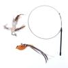 Toy Indoor Play Exercise Training Toy Pet Supplies Cat Teaser Wand Cat Stick Accessories Chew Rod