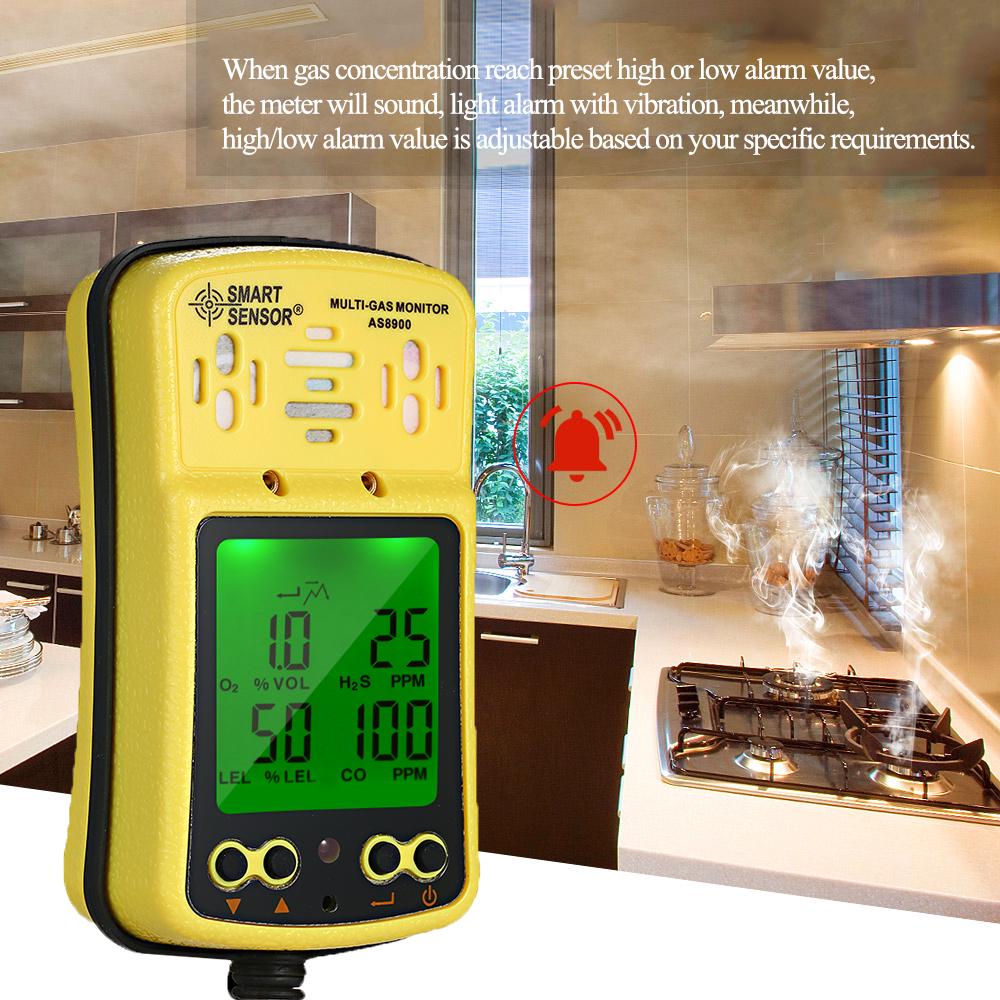 Buy SMART SENSOR AS8900 Tragbar Gasmonitor mit Alarm O2/CO/H2S
