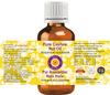 Deve Herbes Cashew Nut Oil (Anacardium occidentale) | Infused | Pure | Non-Sticky | Lightweight | Moisturizing | For Skin & Hair | Multi-Purpose