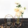 Creative Wrought Iron Hydroponic Plant and Flower Stand Vase