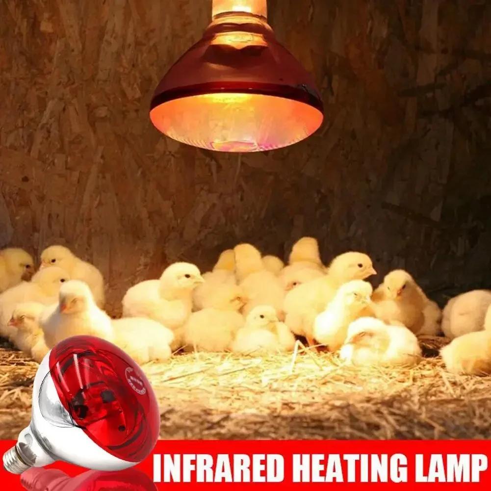 E27 universal screw mouth infrared heating bulb poultry hatching climbing box insulation and heating lamp