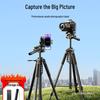 DSLR/Mirrorless Camera Tripod with Ball Head for Live Streaming and Photography Shoots
