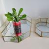 Vassoio in Vetro per Gioielli e Cosmetici Organizer Dorato per Mobiletto del Bagno Con Bordi Arrotondati Sicuri Per la Decorazione della Casa