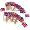 Toothpicks Decorative Party Food Decorations For Sandwiches, Burgers, Cupcakes Toppers