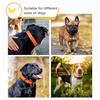 Collier pour chien - HEELE - Nylon et néoprène - Réfléchissant - Boucle de sécurité - Confortable