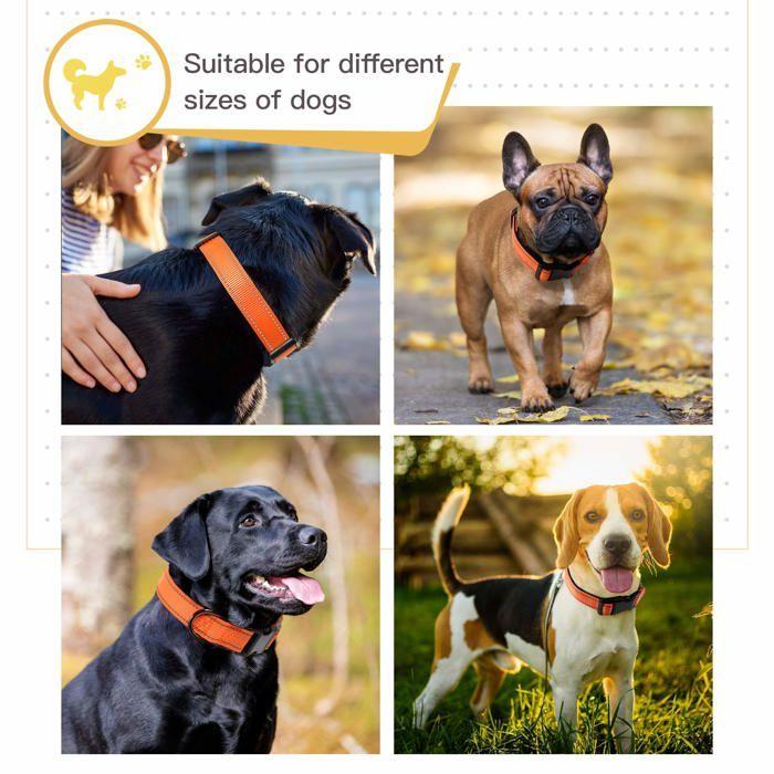 Collier pour chien - HEELE - Nylon et néoprène - Réfléchissant - Boucle de sécurité - Confortable