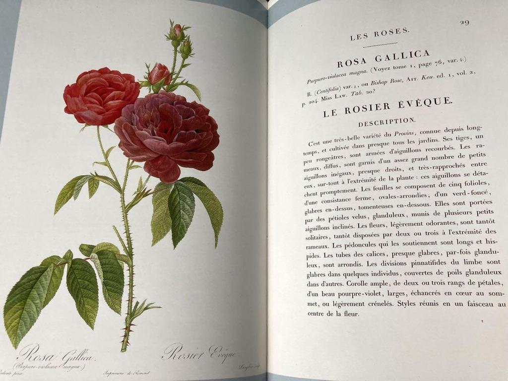 [USED] Rare Berlin State Library Collection: Many illuminated manuscripts and other materials. Foreign books.