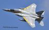 Platz 1/72 Japan Air Self-Defense Force F-15J Eagle Komatsu Air Base Air Show 2014 306th Squadron Golden Eagles Special Paint Scheme Plastic Model Kit