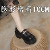Spring New Small Leather Shoes with an Inner Height of 10cm Thick-soled Women's Thick Heels and High Heels Mary Jane Single Shoes Women