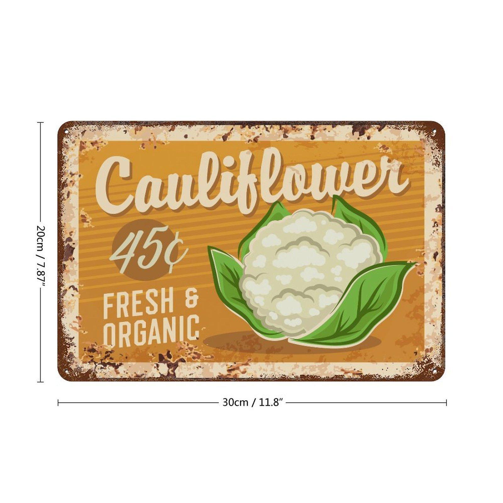 

1 Pack rustic retro metal display plate, antique finish, wall decoration for bar café home kitchen restaurant or office interiors 20*30CM