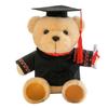 Doctor Bear Doll Graduation Season Creative Gift Cute Doctor Hat Bear Doll