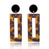 Japanese and Korean Minimalist Brand Leopard Print Earrings Made of Acrylic Sheet and Geometric Resin Earrings