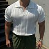Hollow Mesh Texture Knitted Short-sleeved Polo Shirt T-shirt Men's Summer Korean Light Mature Style Top T-shirt