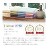 Hotman 1 Second Towel, Light Face Towel, Set of 3, Hotman Color 12, Thin, 12 Colors, Made in Japan, 100% Cotton, Instant Water Absorption, Highest