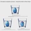 Hot-Selling Dinosaur Egg Toy: Water-Activated Hatching Soft Dino Model Gift