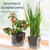 Fashion Round/Square Clear Nursery Pots Transparent with Drainage Holes Planting Pot Flowerpot