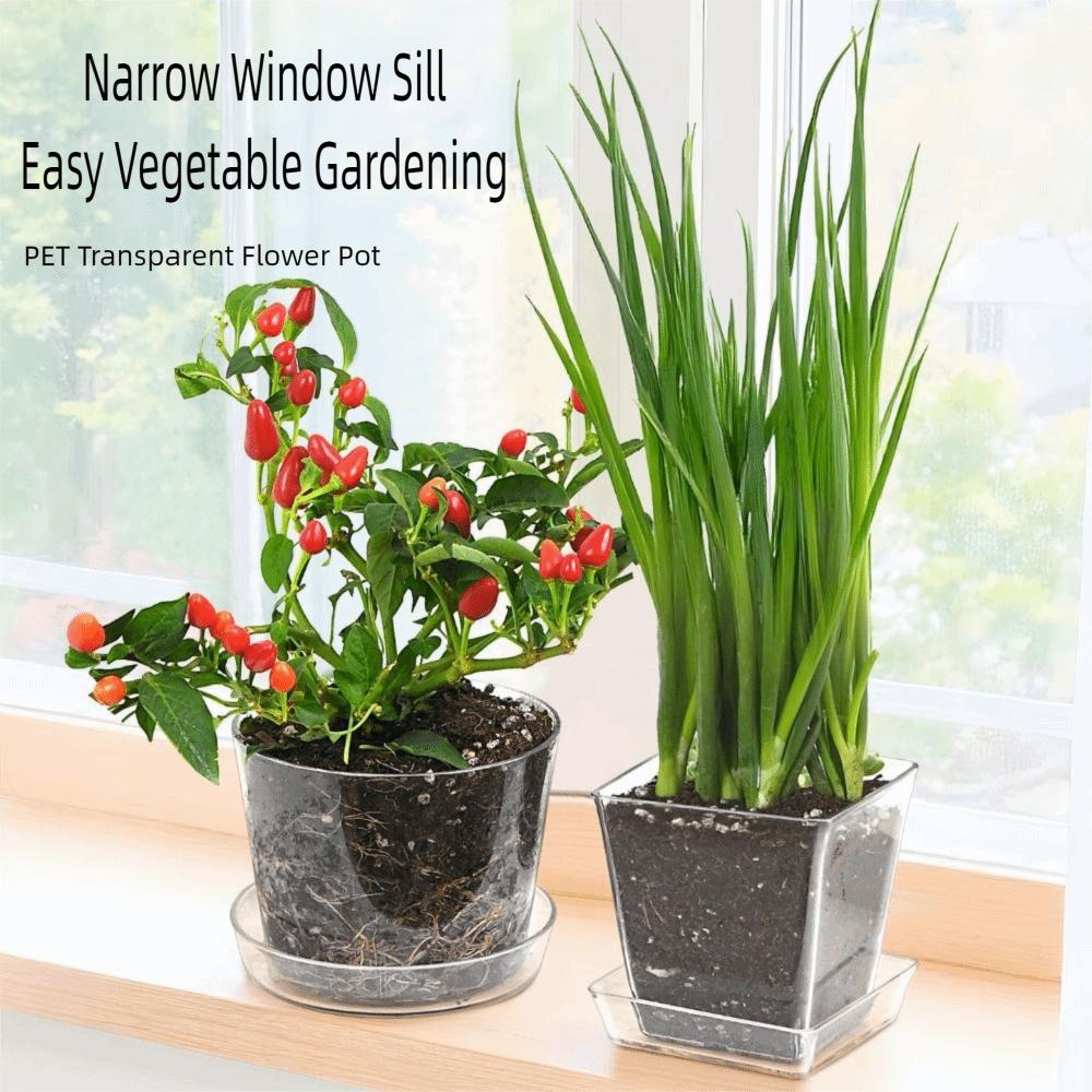 Fashion Round/Square Clear Nursery Pots Transparent with Drainage Holes Planting Pot Flowerpot