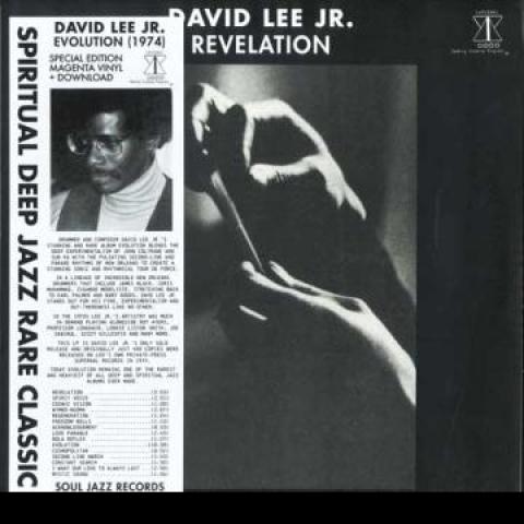

LP Пластинка ДЭВИД ЛИ МЛАДШИЙ. - Evolution SJRLP551C Soul Jazz Recor 2024 UK Jazz