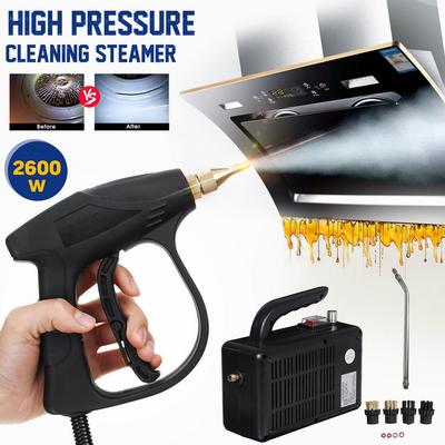 220V 2600W parní čistič Vysokotlaký parní čisticí stroj Mobilní automatické čerpání Sterilizace Dezinfekční generátor Parní generátor