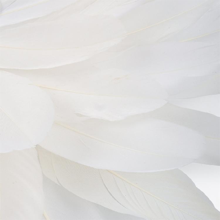 Feather Headbands Sequins Mardi Gras Headwear for Girls Masquerade Accessories