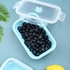Collapsible Silicone Lunch Box: Portable, High-Temperature Resistant, Fresh-Keeping Bowl for Outdoor and Travel Use