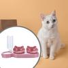Cat Bowl Set, Raised Pet Bowls with Water Dispenser, Feeding for Small Or Medium Dogs And Cats