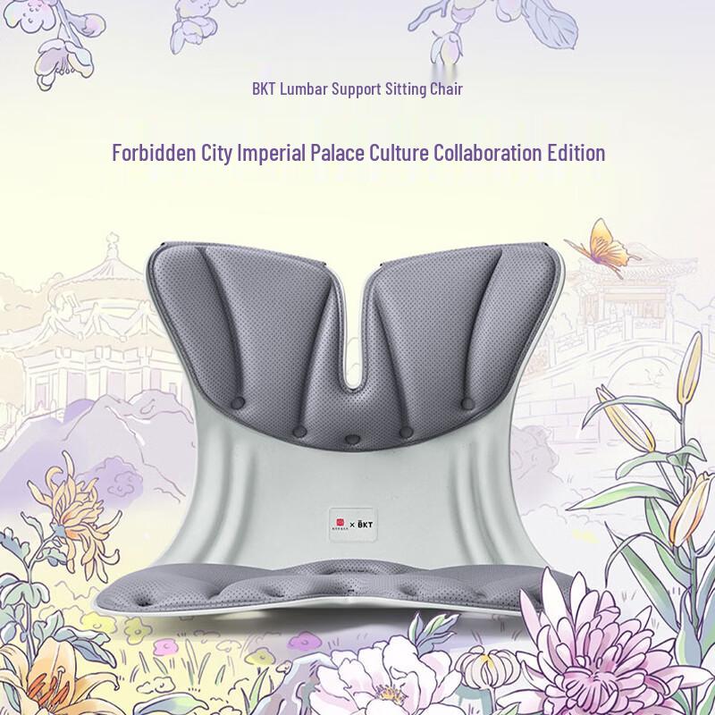 BKT Ergonomic Leather Lumbar Support Chair Cushion