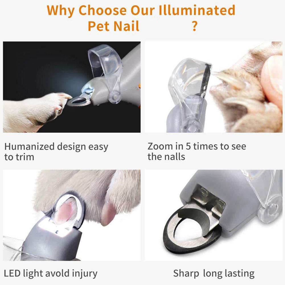 Professional Pet Nail Clippers with LED Light Cat Dog Toenail Trimmer with Safety Guard Sharp Stainless Steel Grooming Scissors