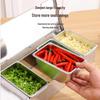 Stainless Steel Multi-Compartment Seasoning Box