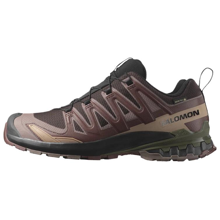 Salomon XA Pro 3D V9 GORE-TEX Rum Raisin Men Sneakers Purple Black-Coffee Olive-Night L47583500