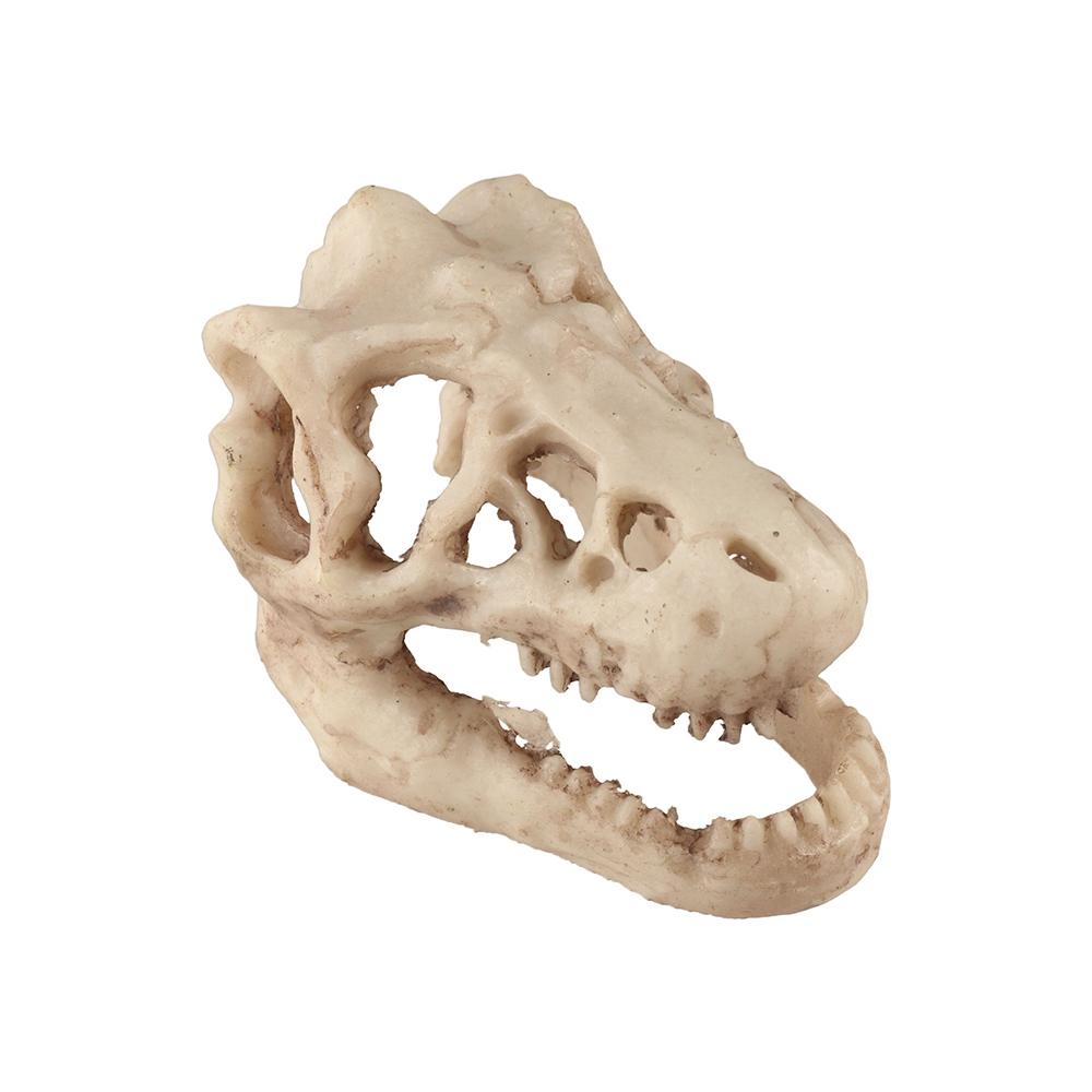 Resin Dinosaur Skull Simulation Escape House Creative Fish House Cave  Landscaping