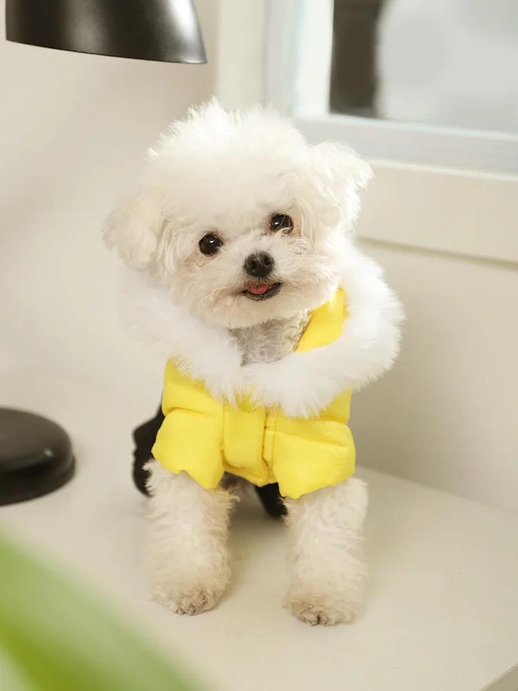 

Одежда для собак Зимняя одежда для маленьких собак Тедди йоркширский щенок Осенняя одежда для собак Осень-зима Теплая одежда для четвероногих Дизайнерская одежда для собак L