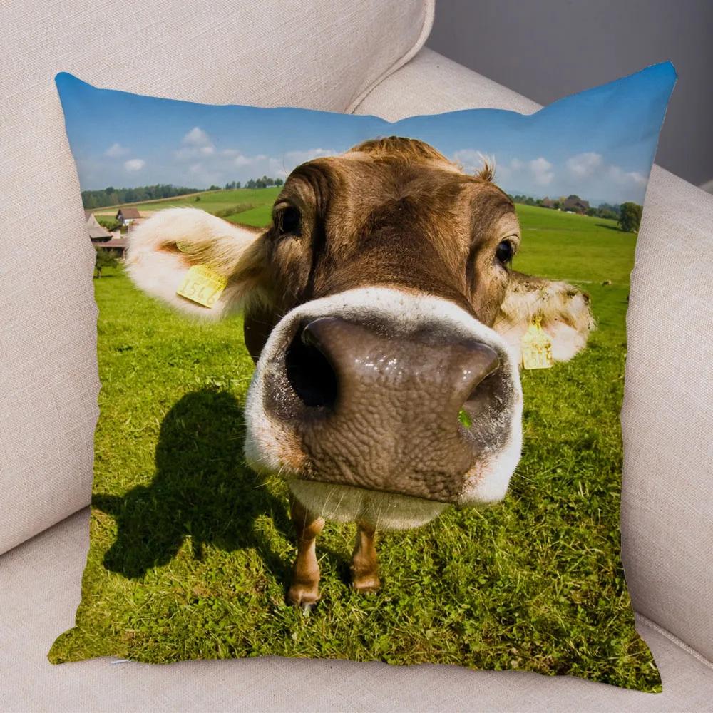 Scotland Kyloe Pillow Case Decor Wild Cow Colorful Animal Print Pillowcase Soft Short Plush Cushion Cover for Home Sofa 45x45cm