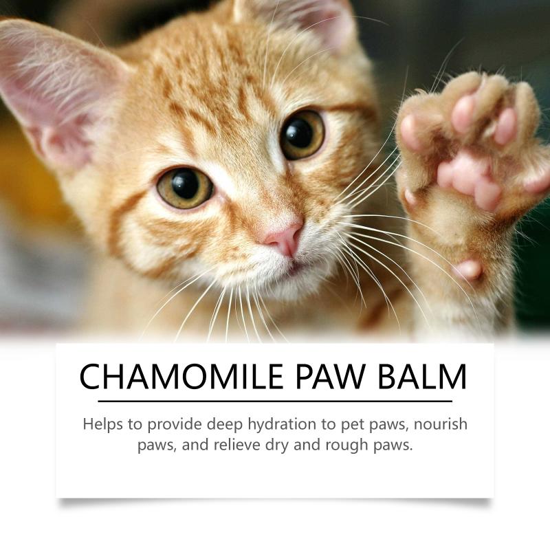 Natural Dog Cat Paw Balm Moisturizer For Cracked Paws Hot Pavement Defense Wax Protects In Summer Outdoor