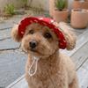 Cartoon Print Cat Bucket Hat Breathable Pet Sun Cap Party Photo Dress Dog Sport Hat  Kitten
