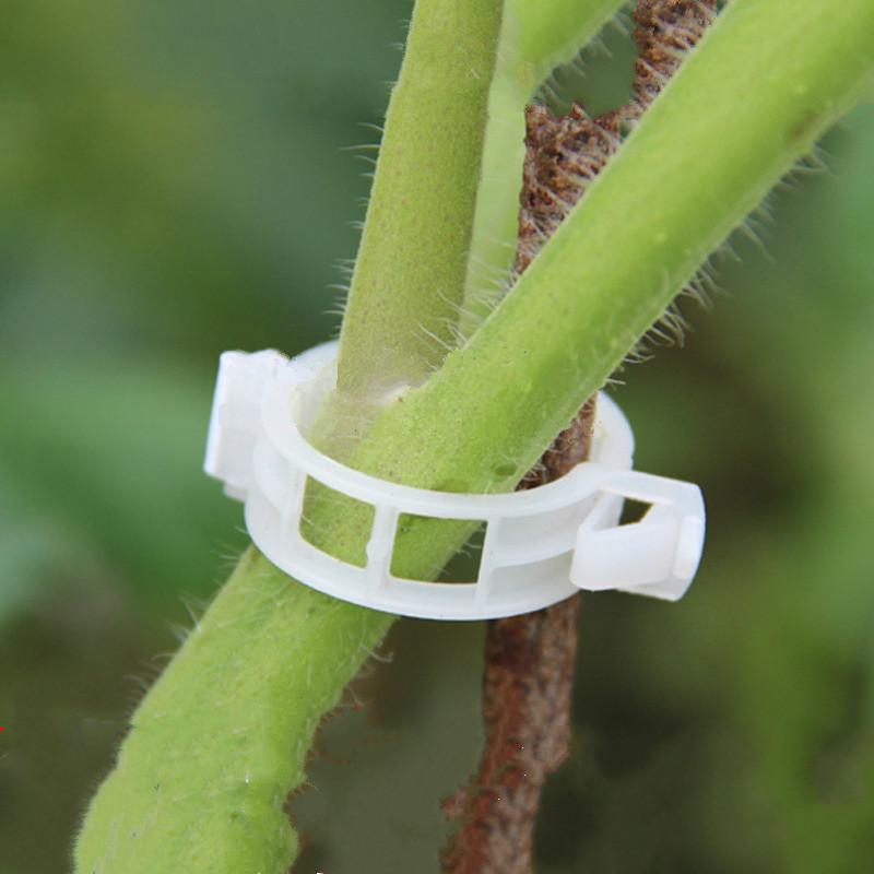 

1 сумка / 50 шт. Зажим для фиксации виноградной лозы