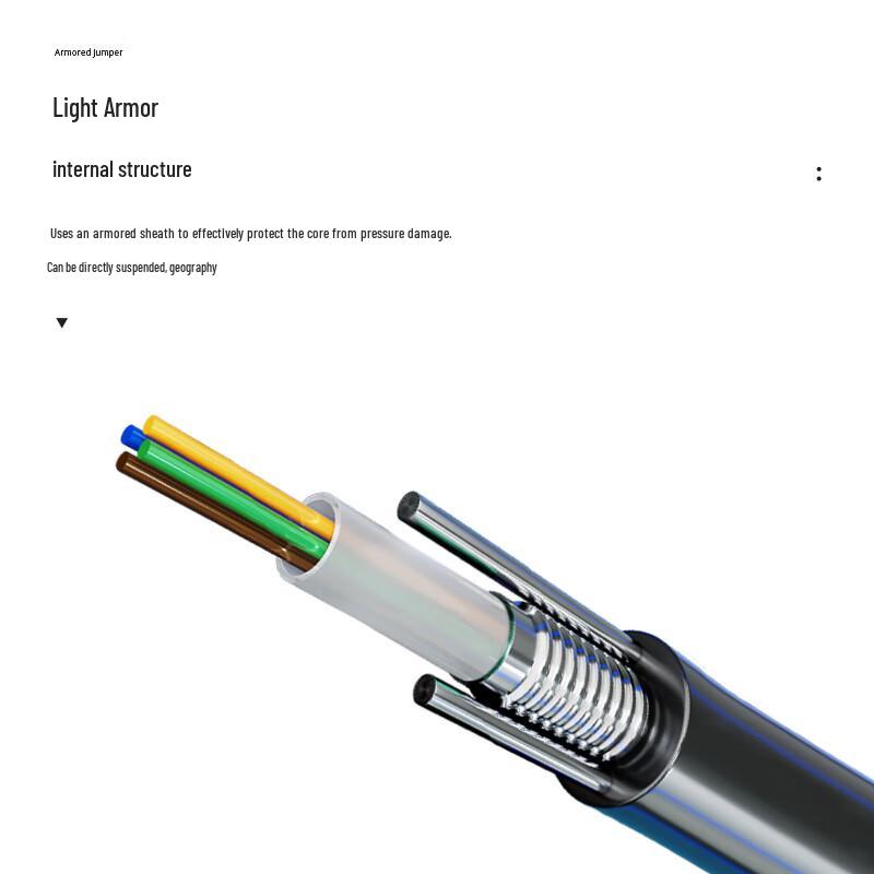 ZONWAN Outdoor Armored 2-Core SC Fiber Optic Patch Cable